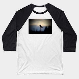 Kingfisher Silhouette Baseball T-Shirt